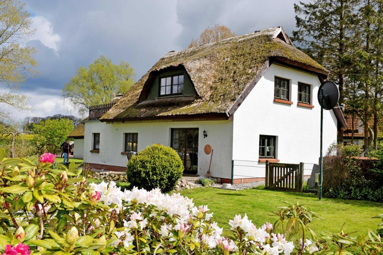 Und -wohnung Unterm Reetdach In Woorke Ferienhaus Patzig
